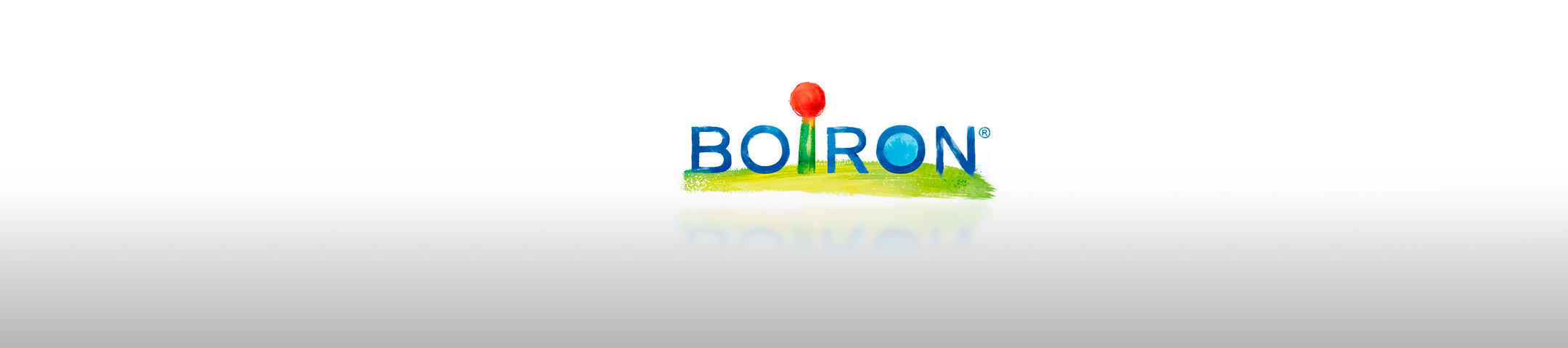 banner boiron 2